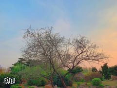 -长春公园(普阳街道)