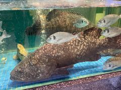 -聚福宝合苑食府(南头镇店)