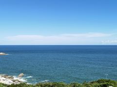 -广东惠东海龟国家级自然保护区