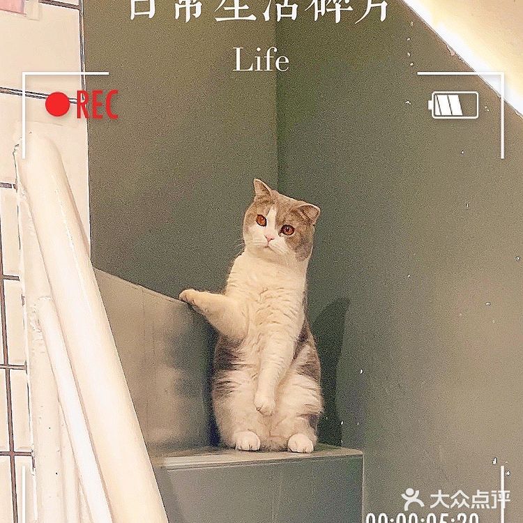 广州宝藏咖啡店｜悠闲下午茶好去处‼️