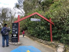 -怀托摩萤火虫洞