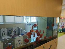 -杭州贝瑞斯美华妇儿医院·早孕·产检·儿科