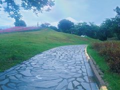-松山湖南湖湾露营营地