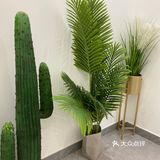 做完POLA黑BA石膏抗糖化皮肤真的会发光
