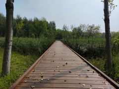 -东郊湿地公园