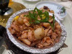 -丁老爷子苏香圆