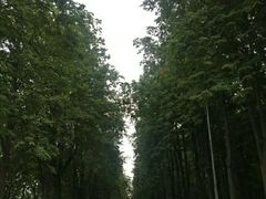 -莫斯科大学