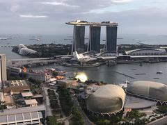 -新加坡瑞士史丹福酒店