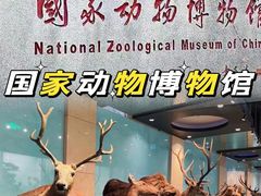 -北京天文馆
