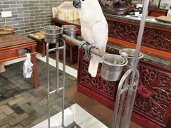 -四海楼(如皋定慧禅寺店)
