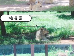 -海南热带野生动植物园