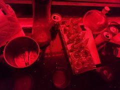 -Orangutan Bunker猩猩地堡酒吧(兰桂坊店)