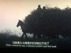 -金逸影城(武汉人信汇IMAX店)