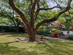 -三台山庄中餐厅