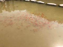 -桑干河大峡谷旅游区