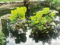 -国家植物园南园