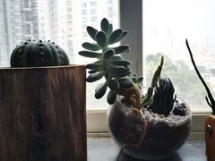-A+匠心DIY手工坊·首饰·微景观