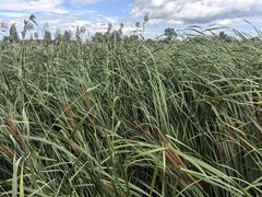 -敕勒川草原文化旅游区