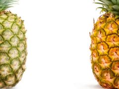 -兔途体检(十里堡青年路店)