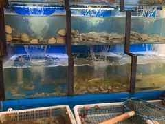 水产区-老东镇啤酒屋海鲜加工·蒸汽海鲜·海鲜烧烤(台东店)