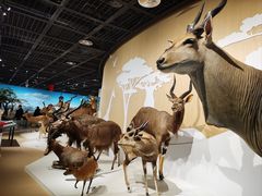 -陕西自然博物馆