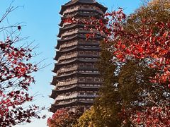 -红梅公园