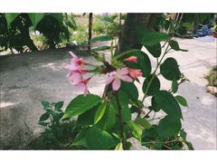 -邹记·美食(斗门店)