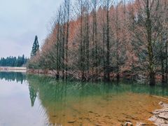 -山王坪喀斯特国家生态公园