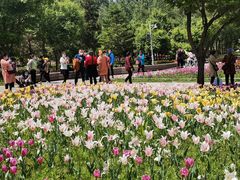 -长春公园(普阳街道)