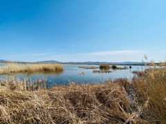 -野鸭湖国家湿地公园