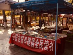 -莲湖公园