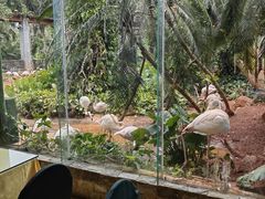 -海南热带野生动植物园