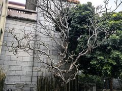 -烟桥古村