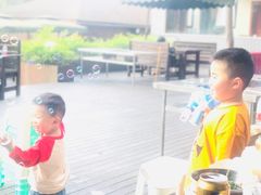 -铁山坪森林公园