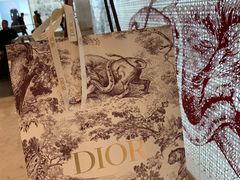 -DIOR迪奥(德基广场女装店)