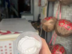 -洪馨椰子