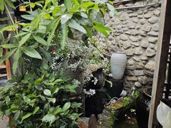 -尽善百年古院餐厅(王家老宅店)