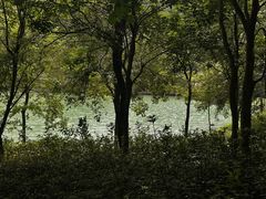 -广州白江湖森林公园