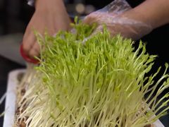 鲜活豌豆苗-老表记广西宵夜螺蛳鸭脚煲(西大店)