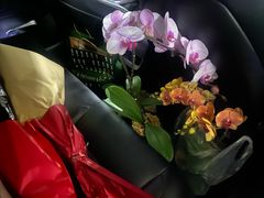 -双季花艺园艺市场(浦东店)