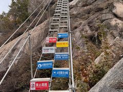 -六里坪国家森林公园