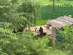 -沈阳森林动物园