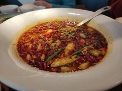 沸腾鱼-映水芙蓉(上海万象城店)