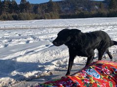 -北极村旅游风景区