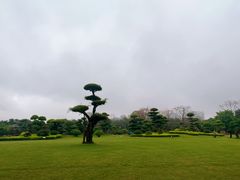 -南宁南湖公园
