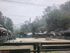 -野象谷景区