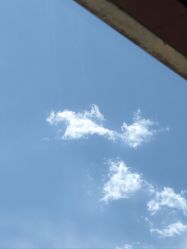 点击看大图 -花间禅净·瑜伽