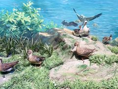 -中国（海南）南海博物馆