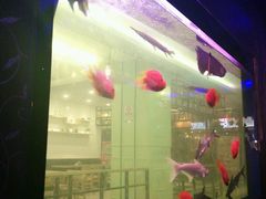 -一味清欢300℃时尚烤鱼(北京华联店)