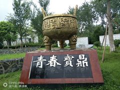 -大丰知青农场